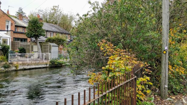 Fast-flowing river Itchen with views of houses and bushes with autumnal coloursat Water Lane